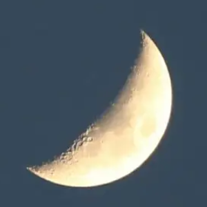 恬婆徽州水馅包